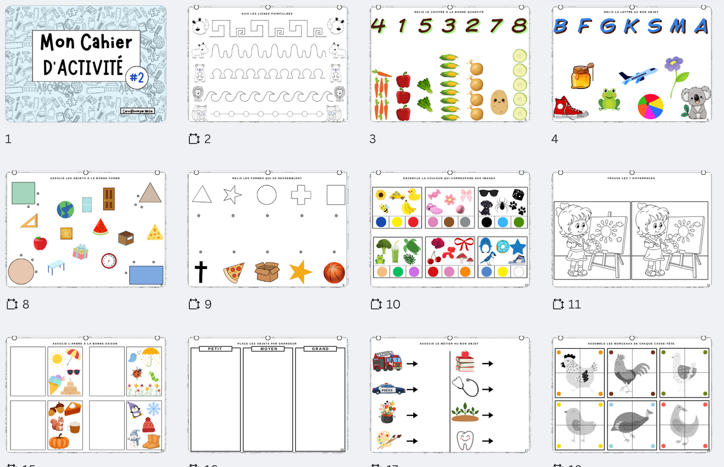 Cahier D'activité #2