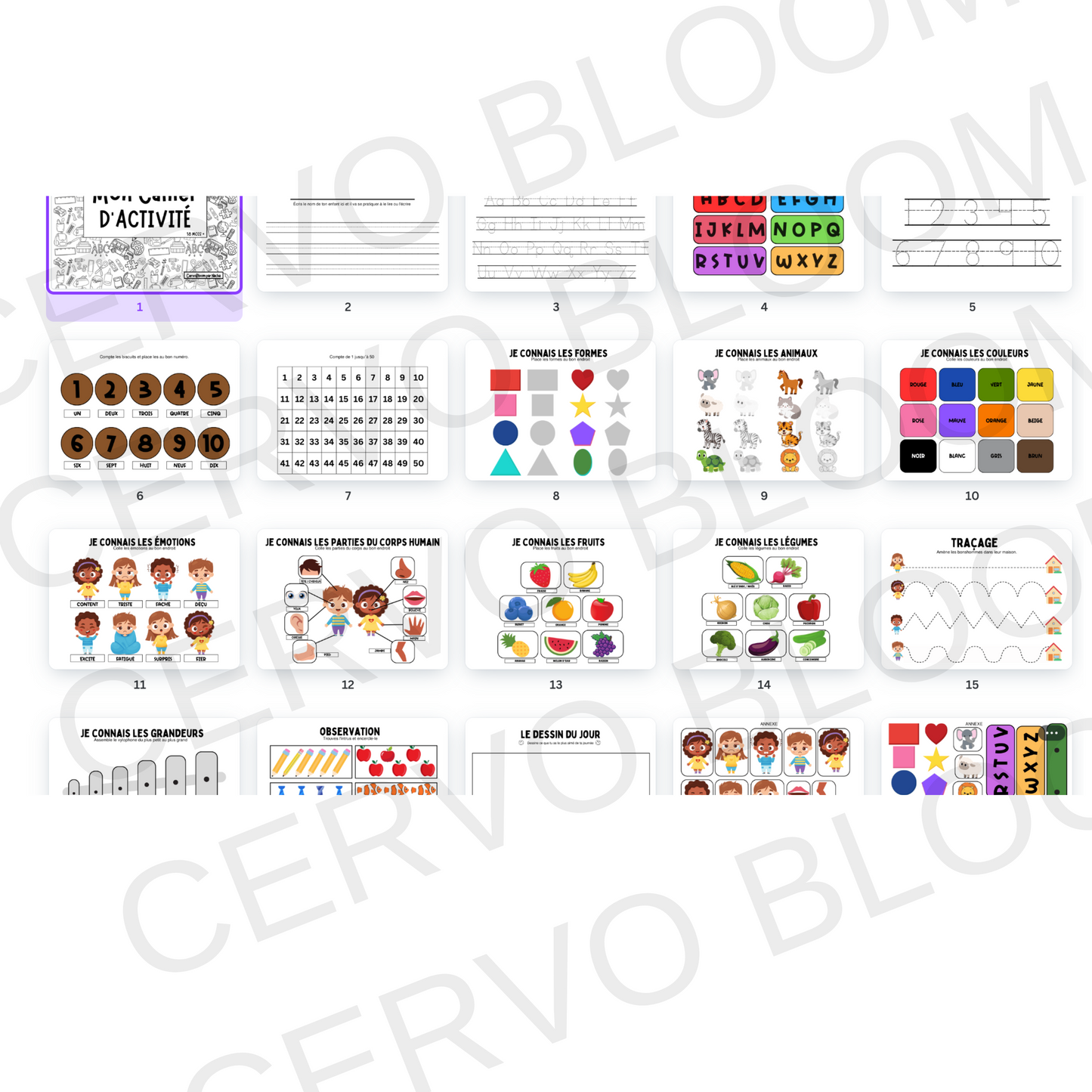 Cahier d'Activité 18 mois +
