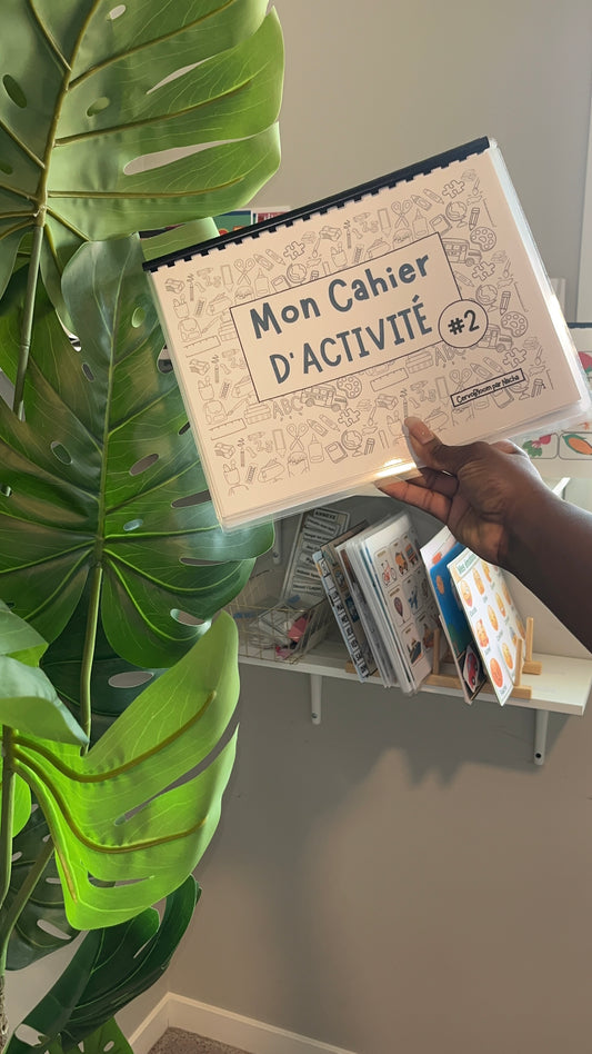 Cahier D'activité #2
