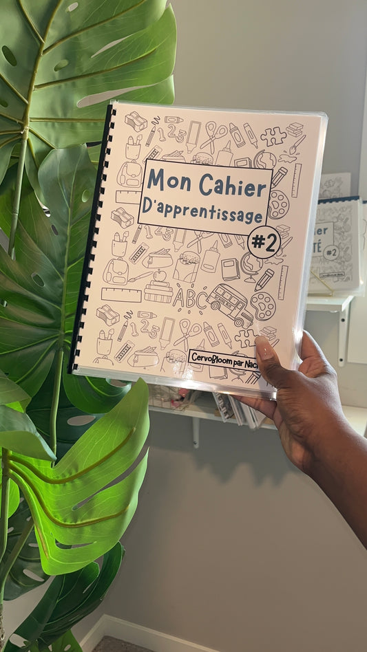 Cahier D'apprentissage #2