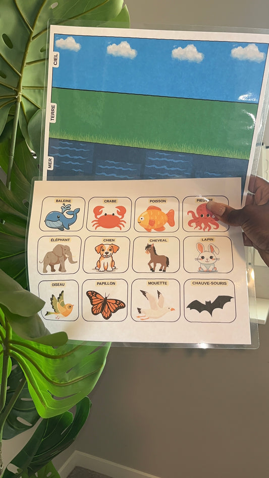 JEU - ciel, terre, mer (animaux)