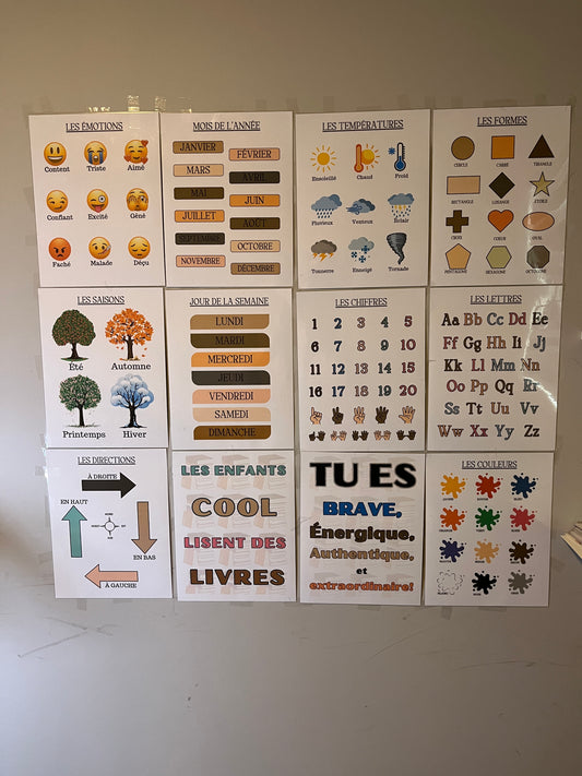 12 Affiches Éducatives